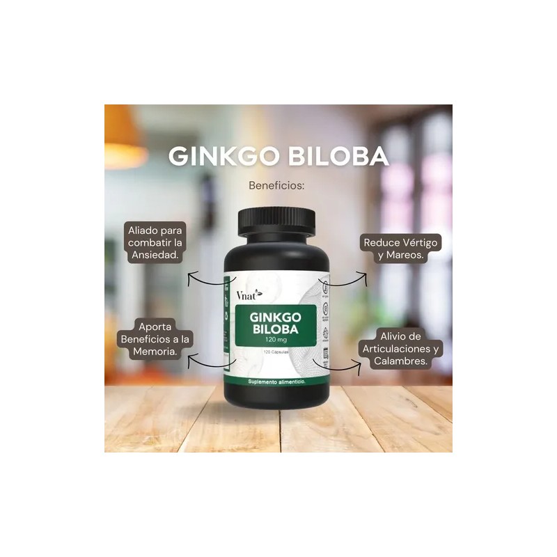 Ginkgo Biloba 120mg 240caps Ayuda Memoria Reduce Fatiga Vnat Sabor