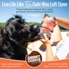 Smart Cookie All Natural Dog Treats - Healthy Skin &