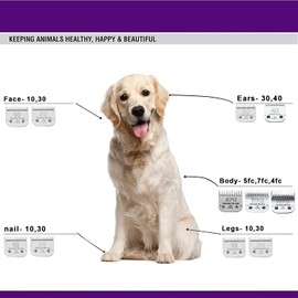 Detachable Pet Dog Clipper Blades, Compatible with Andis Size-5FC 1/4”(6.3mm) Cut Length (64122), Most Oster A5, Wahl KM Series Clippers,Made of Ceramic Blade & Stainless Steel Blade