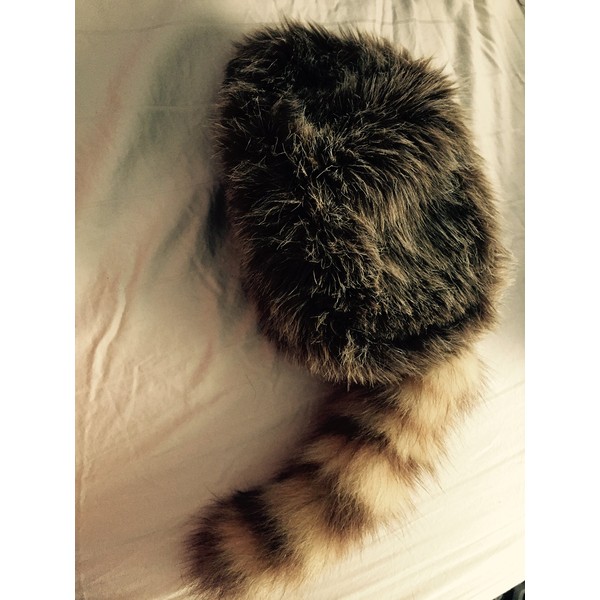 Coonskin Cap, Earth Friendly Coon Tail, Davy Crockett Cap, Racoon Hat Brown