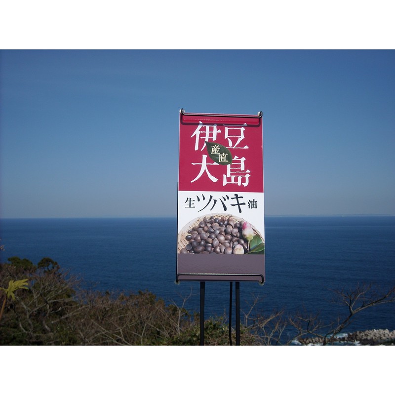 Recommended as a beauty serum. "Smooth Izu Oshima Camellia Oil
