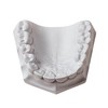 3 LB - White Dental Lab Plaster for Dental Cast