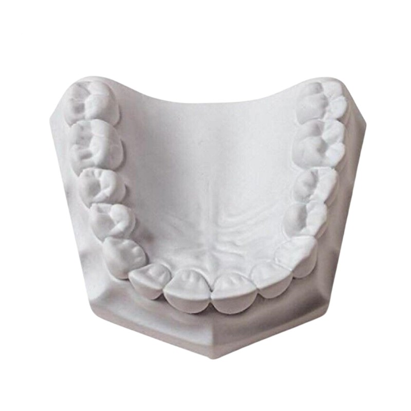 3 LB - White Dental Lab Plaster for Dental Cast