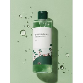 Round Lab 라운드랩 소나무 진정 시카 토너 250ml Round Lab Pine Calming Cica Toner 250ml