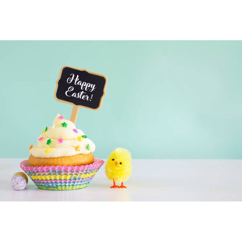 Pack Of 6 Small Fluffy Easter Chicks Cute Mini Yellow