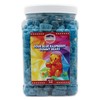 Gummy Bear 3LB In Plastic Clear Container (SOUR BLUE RASPBERRY)