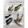 BestCity Fly Fishing Hares Ear NYMPHS + FREE FLY BOX