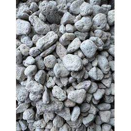 Cali-Bon Japanese Extra Large Keiseki Pumice for Cactus & Succulent, Orchid and Yamadori Bonsai Soil Mix - 1/2" to 1" (2 Gallon)