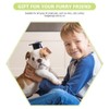 LUOZZY 8 Pcs Dog Graduation Caps with Tassel Small Dog