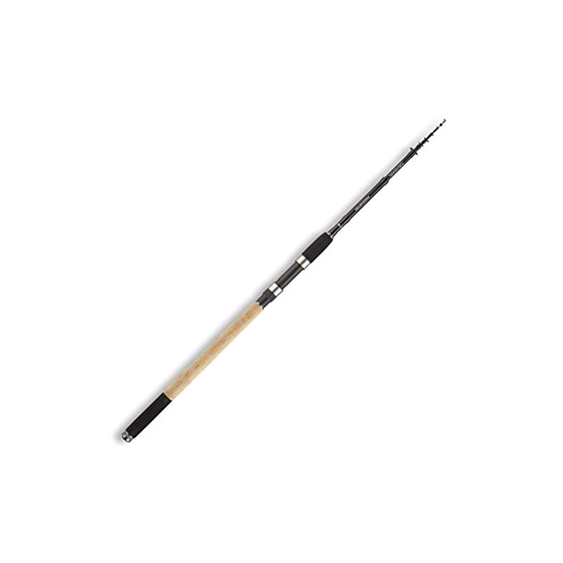 Daiwa Procaster Tele 3.00m 10-30g