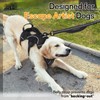 rabbitgoo Escape-Proof Dog Harness Medium with Large Handle, Anti-Pull Reflective