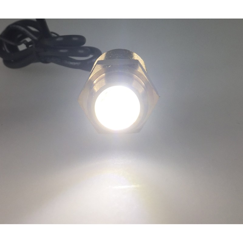 Pactrade Marine 2PCS Boat White LED Brass Drain Plug 1/2"