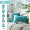 Stellhome Super Soft Velvet Cushion Covers Square Decorative Throw Pillow