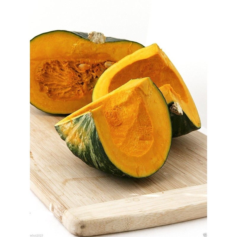 20 JAPANESE GREEN PUMPKIN SEEDS - Kabocha - Open pollinated,
