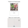 Inspirational and Motivational Postcards - Set of 20 Postcards. 20