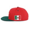 Hecho En Mexico Eagle 3D Embroidered Flat Bill Snapback Cap