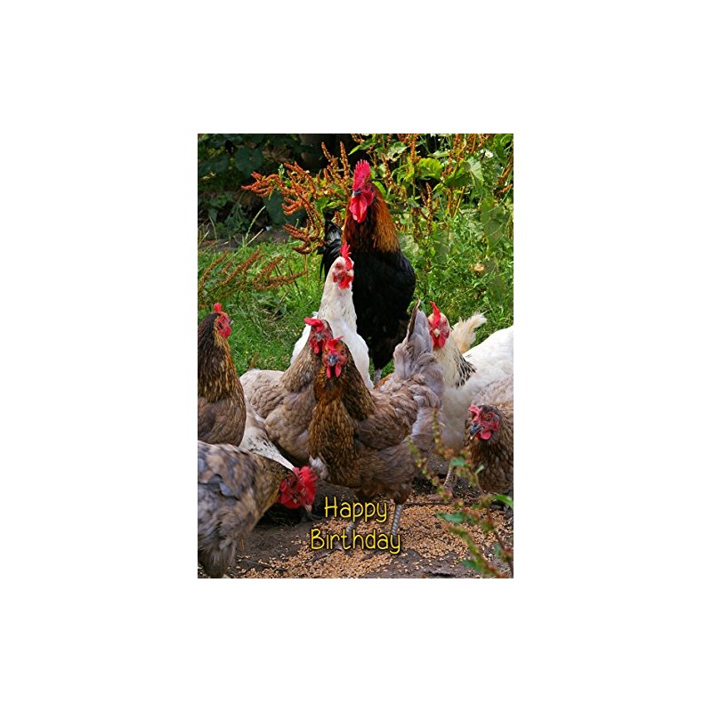 Chicken Birthday Card
