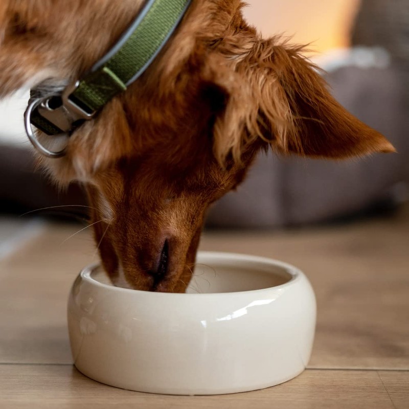 Nobby Ceramic Feeding Trough, 750 ml