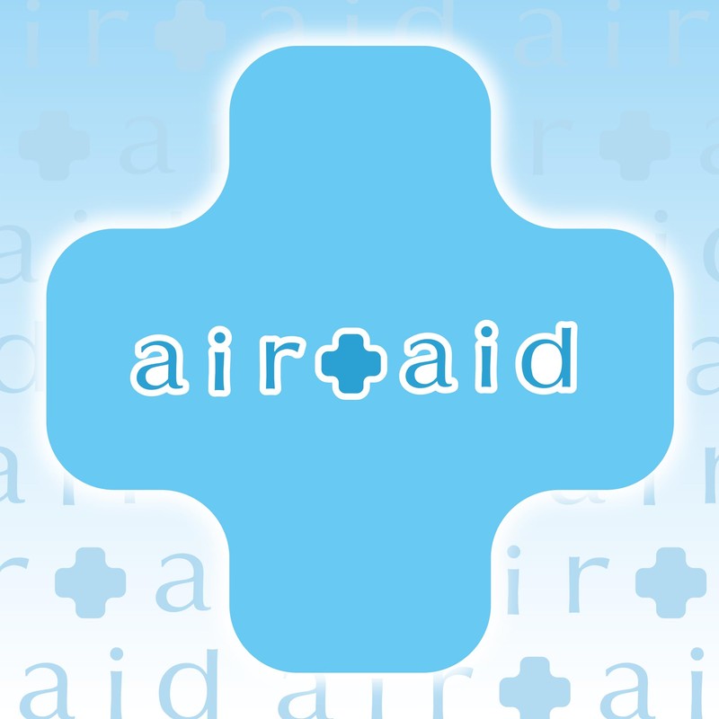 晴香堂(HARUKADO) カーオール 車用 芳香剤 消臭エアエイド ソープ 95g 1419