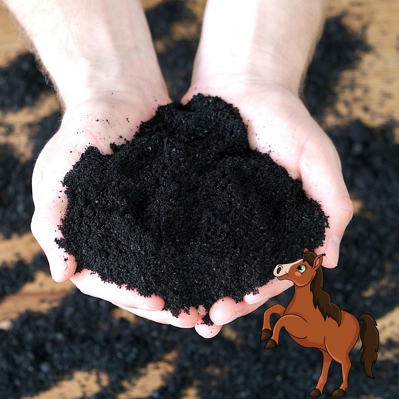 Feed Charcoal for Horses (500 g) - No Additives |