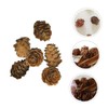 CAXUSD 50 Pcs Small Artificial Pine Cones Decorative Natural Pine