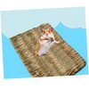 Hohopeti Rabbit Hay Mat Guinea Pig Supplies 40x28cm Mat Hamster