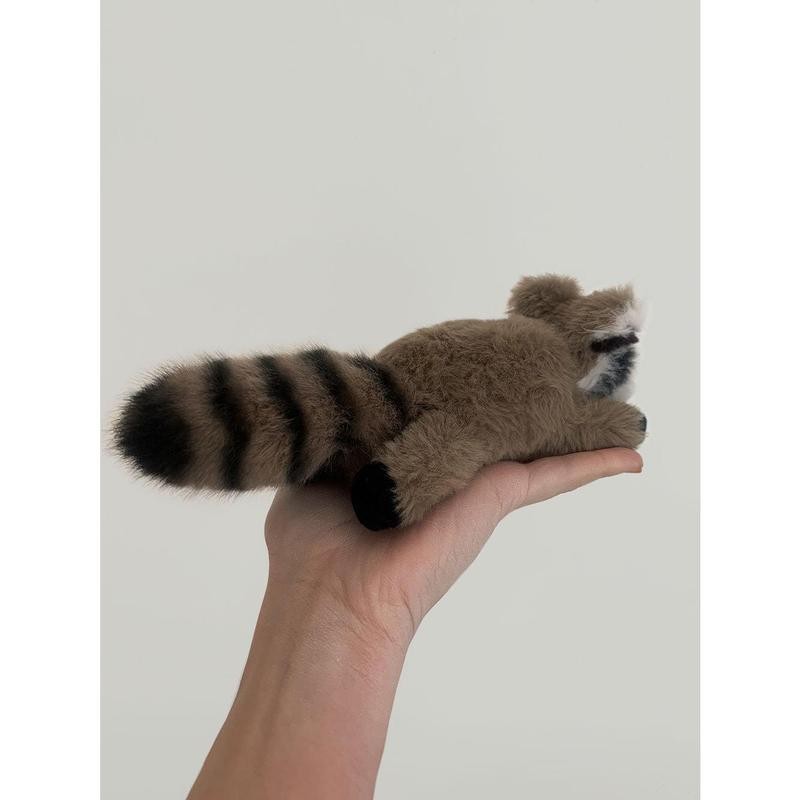 Raymond The Raccoon