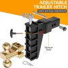 LOCAME 2" Receiver 6" Drop/Rise Adjustable Tow Hitch Dual Ball