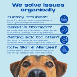 Probiotics for Dogs – Gut Health by Happy Dog | Organic, Vegan Probiotic Soft Chews with Prebiotics for Digestion, Immunity & Itchy Skin Relief | 120 Soft Chews Peanut Butter Flavor