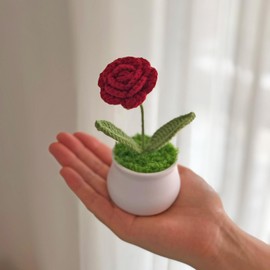 Joekaran Crochet Flowers Cute Little Potted Flower, Gift for Birthday, Teacher’s Day, Graduation, Anniversary, Christmas, Decor for Car Dashboard,Home Office Decoration (Burgundy Rose)