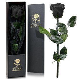 Infinity Rose in Gift Box, Eternal Rose with Stem Gifts for Women, Real Roses, A Preserved Flower for Mum, Ladies, Girlfriend for Birthday, Valentine's Day, Christmas, Mother's Day - Black