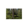 Tarp Parent Tarpaulin with Eyelets (3 x 3 m, Camo)