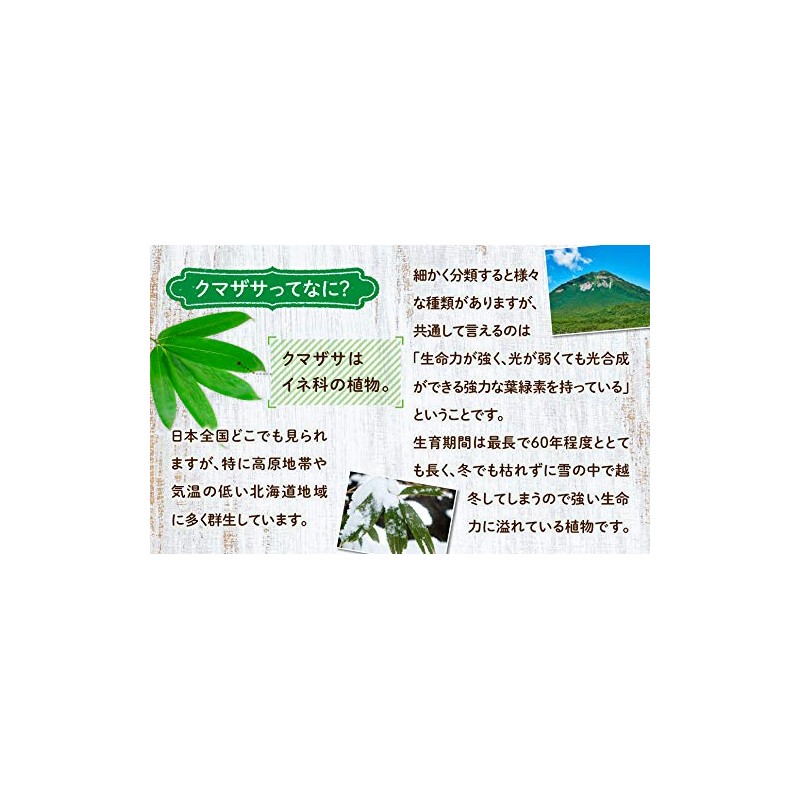 Nichiga 02 Kumazasa Green Juice, 100% Powder, Made in Hokkaido,