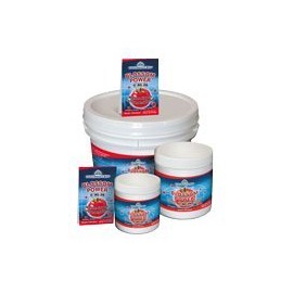 Hydrotek Blossom Power 20 gr