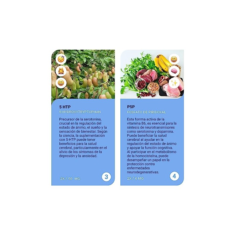 Sapientia MORFEO Suplemento alimenticio - Ingredientes 100 naturales Inositol L-Teanina