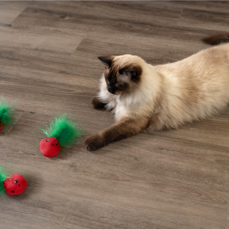 Catstages Strawbabies 3-Pack Catnip Cat Toys for Dental Health, Feather