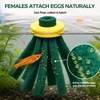 BaoZqua Medaka Spawning Mop Kit, 10 Floating Egg Collectors with