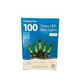 Holiday Time 100 LED Mini Lights - Green