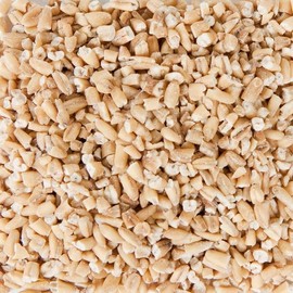 Splendor Garden Organic Gluten Free Steel Cut Oats - 700 g