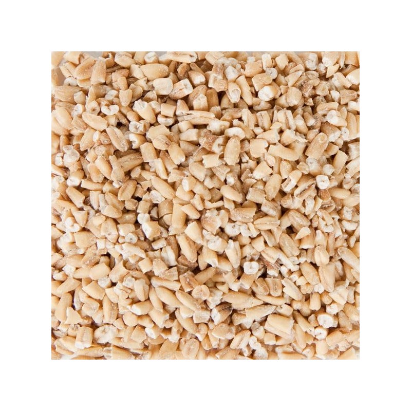 Splendor Garden Organic Gluten Free Steel Cut Oats - 700