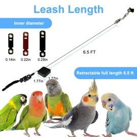 Bird Leash,Bird Harness,Retractable Anti-Bite Parrot Harness,with 3 Different Sizes of Soft Foot Ring,for Birds Outdoor Flight Training,for Budgies,Cockatiels,Psittacula Longicauda,Mini Macaws,6.5Ft