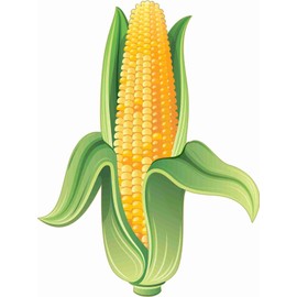 StickerTalk Corn on The Cob Sticker, 4.5 inches by 6 inches