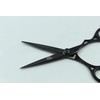 Pakden 6.5" Professional Hair Cutting Scissors – Japanese 440C Steel