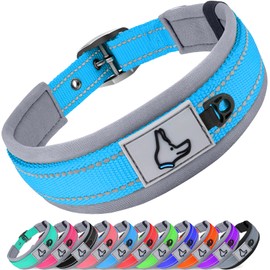 Joytale Dog Collar for Large Dogs, Neoprene Padded and Adjustable, Reflective Wide Heavy Duty Pet Collars with Durable Metal Belt Buckle for Walking, Sky Blue, L