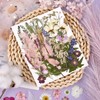 DALARAN 45Pcs Pink Dried Pressed Flowers for Resin Molds Real