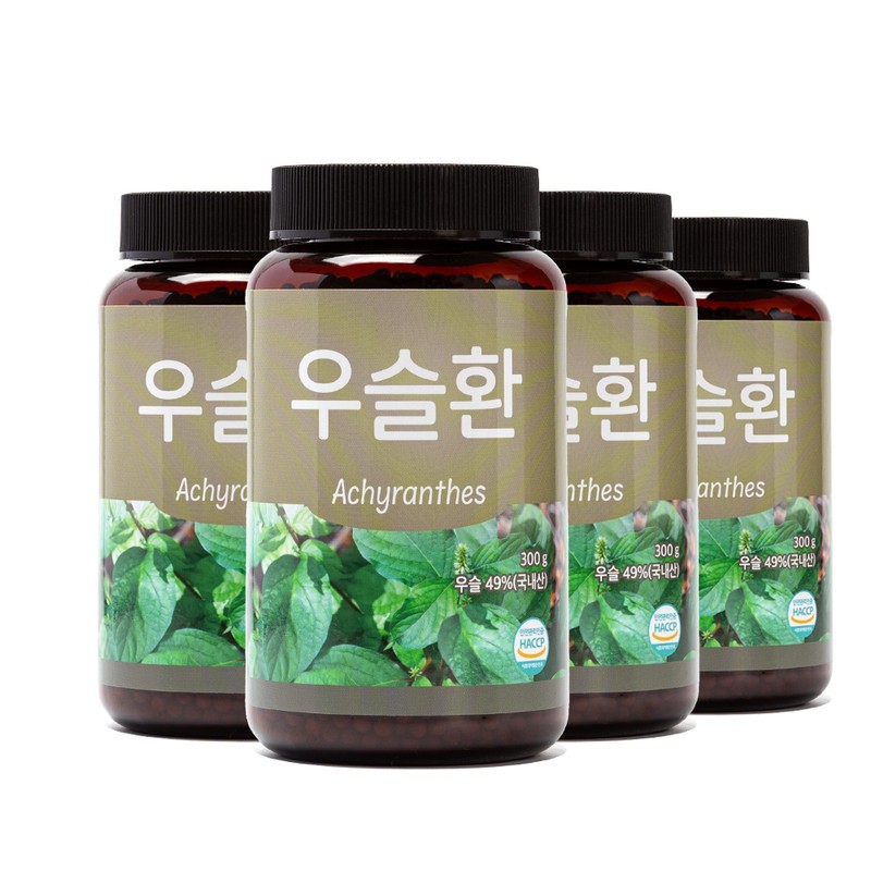 Baekse Food Domestic Woo Seul Hwan So Knee Pill 300g