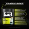 ESN ESN Intra Workout, 750g, 15 Portionen, Sour Power, mit