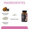QUENUT | Adaptógeno Orgánico de Hongo Chaga en Cápsula Vegana