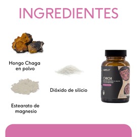 QUENUT | Adaptógeno Orgánico de Hongo Chaga en Cápsula Vegana | 60 cápsulas