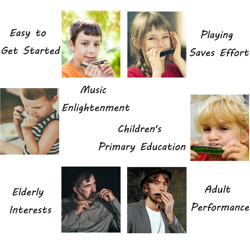 Harmonica C Major 10 Hole Blues Harp Diatonic Harmonica Harmonica